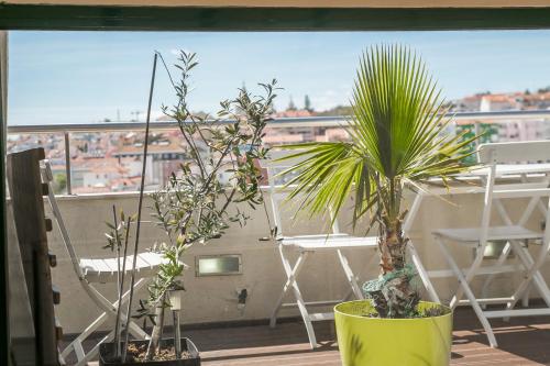 LV Premier Apartments P.Real- PI, Lisabon (fotografie 7)