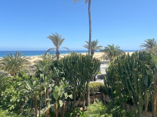 Apartment Hotel TABOGA - image 3