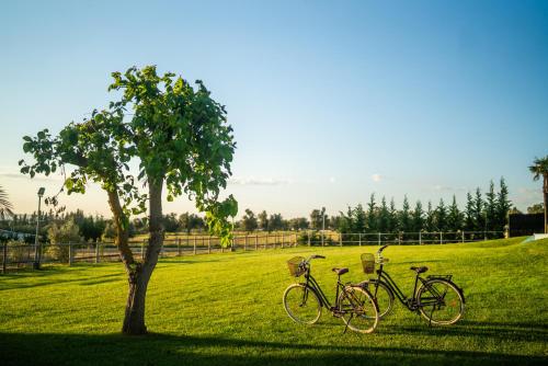 A környék, Monte dos Rolas in Alcacer Do Sal