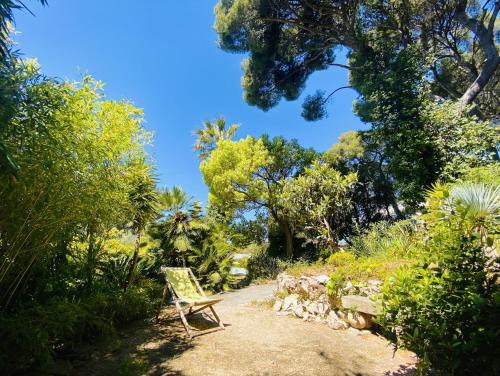 Villa Chic & Zen, Jungle Provençale et Piscine de 14m pour 1 à 6 personnes, Cassis (fotografie 9)