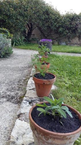 Auberge le centre poitou
