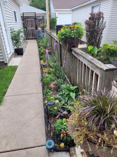 Comfy Garden Suite in Andersonville - Tap to explore photos