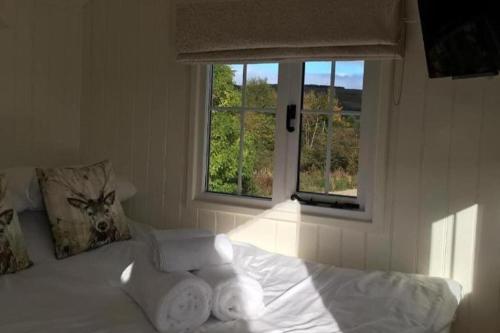 Cabin for 2 with walks WiFi bat and restaurant in Форфар