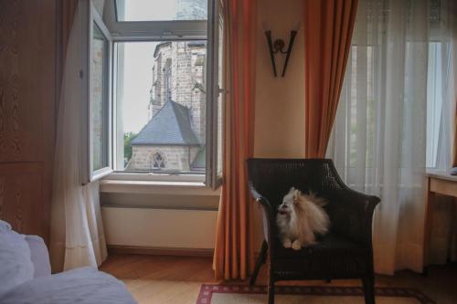 Mondstrahl in วาเดอร์สโลห์