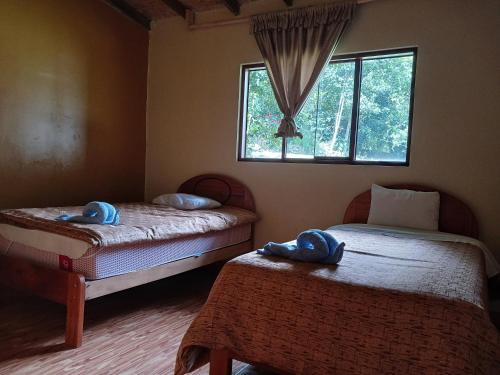 2 twin beds