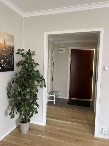 Newly refurbished Apartment in เว็สเตอร์วีค