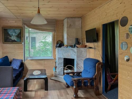 Cottage in Tskhvarichamia forest, Mtskheta (foto 7)