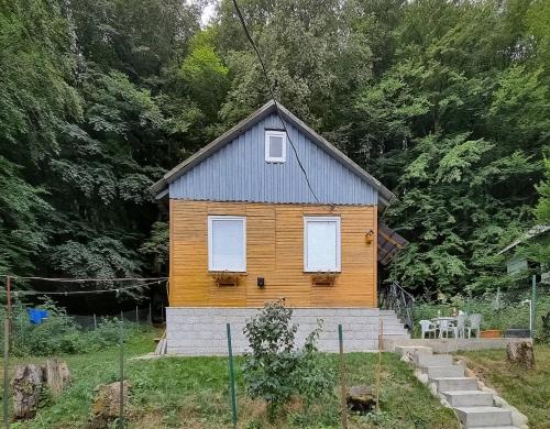 Cottage in Tskhvarichamia forest, Mtskheta (foto 3)
