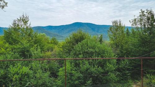Cottage in Tskhvarichamia forest, Mtskheta (foto 11)