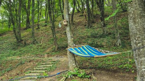 Cottage in Tskhvarichamia forest, Mtskheta (foto 10)
