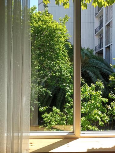 Studio with Garden View