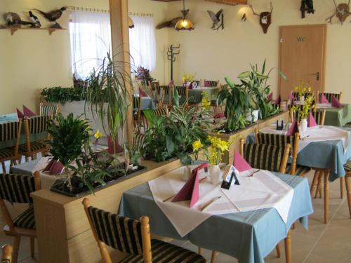 Restaurant, Hotel Landhaus Nassau in Meissen