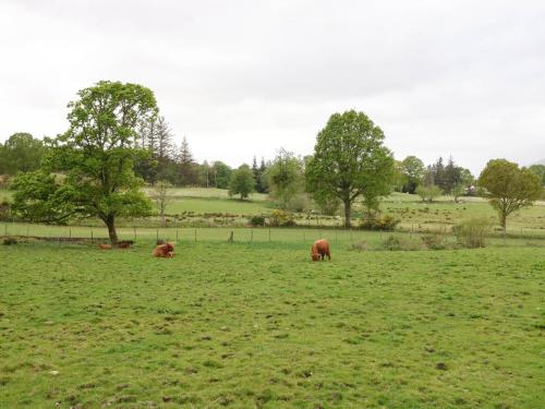 The Four Oaks Chalet - image 14