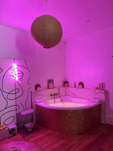 Mini loft Spa - Cosy, Dijon (photo 9)