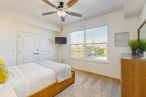 Dolphin's Cove - Clearwater Beach FL - image 41