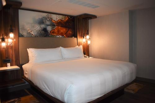 Guest Room with King Bed