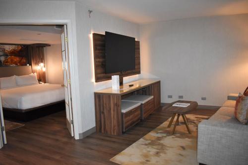 Junior King Suite with Sofa Bed