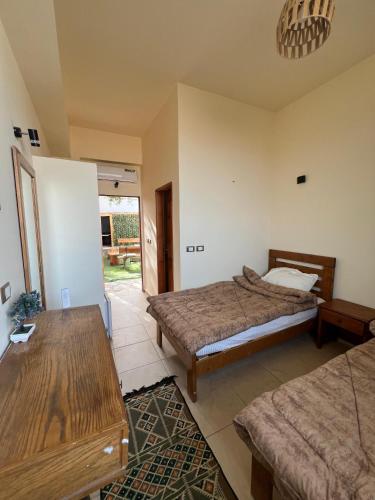 Tree House Hotel Dahab – Dahab, IN