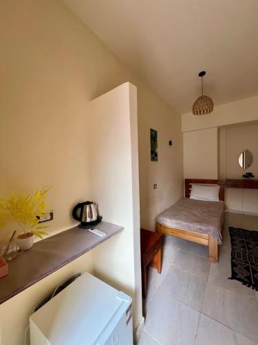 Tree House Hotel Dahab – Dahab, IN