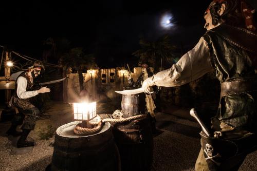 Hôtel Cap Pirate - image 14