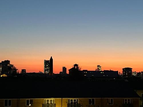 Riverside 1bd near Canary Wharf - image 13
