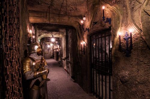 Hôtel Cap Pirate - image 11