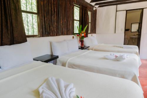 Cabanas Kin Balam Palenque in พาเรน