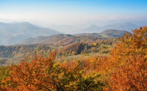 Brvohořík (Brvohorik) in Velka Bukovina
