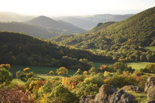 Brvohořík (Brvohorik) in Velka Bukovina
