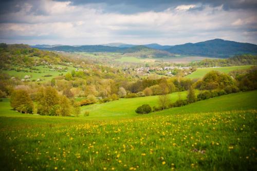 Brvohořík (Brvohorik) in Velka Bukovina