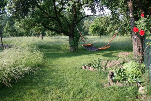 Waldbothgut - image 5