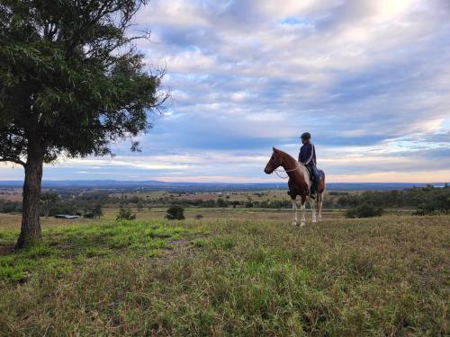 Omgivelser, The Barn Mundubbera, family & pet friendly in Wyandra