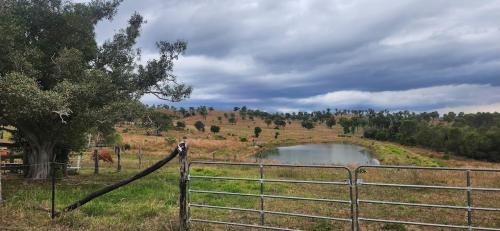 Omgivelser, The Barn Mundubbera, family & pet friendly in Wyandra