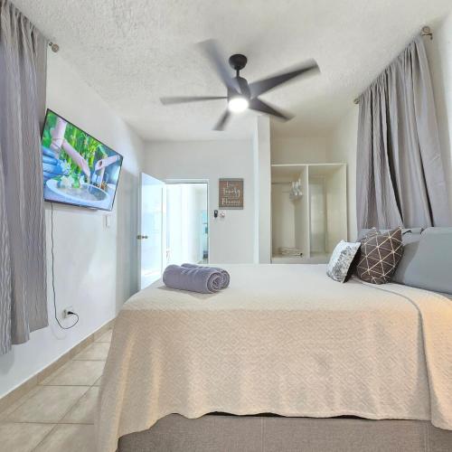 Casa Colora - image 11