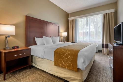Comfort Suites Sawgrass in Tamarac, USA