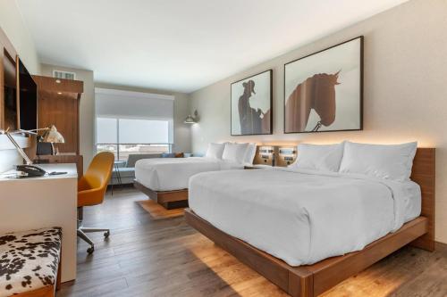 Cambria Hotel Richardson - Dallas - image 9
