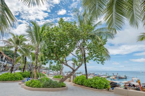 Phi Phi at Pier  in Tonszaj-öböl