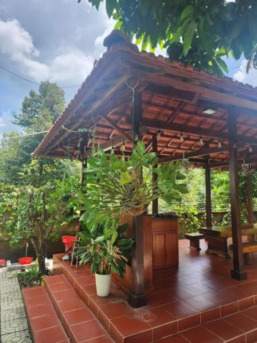 View, Khach san 25 thang 12 - Tanh Linh in Madagui (Dalat)