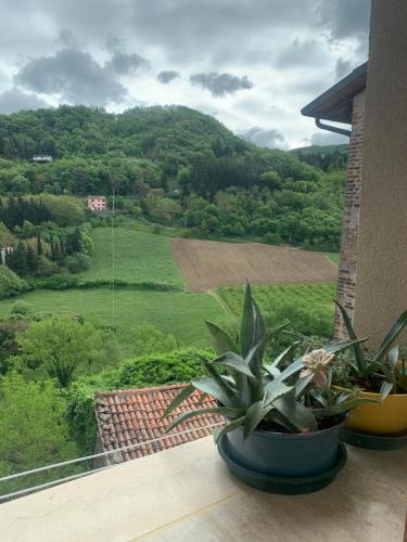 camiBB in Castel del Rio