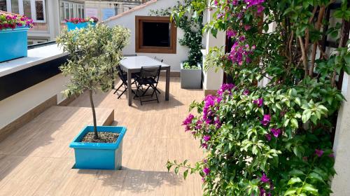 Penthouse with terrace near Arena