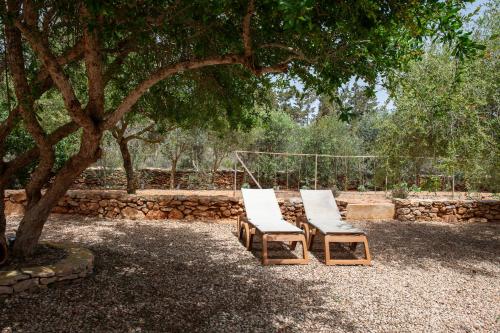 Can Guasch – Sant Francesc Xavier, NJ