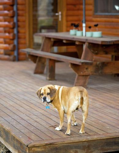 Balkons/terase, Appalachian High Country Retreat in Bonnie Doon
