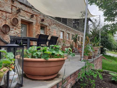 Terraza/balcón, Apartment am Vierkanthof im Thermenland in Bad Blumau