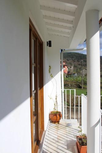 R3 - Casa da Moleira, Castro Daire (Foto 4)