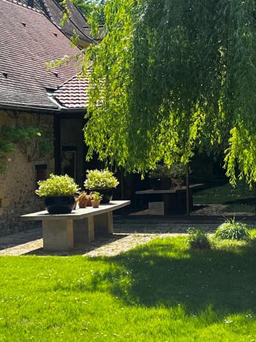 Chateau De Martigny in Пара-ле-Мониал
