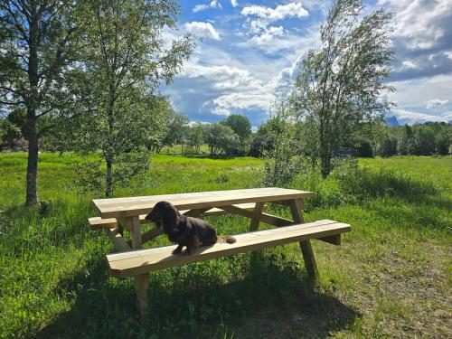 A környék, The cabin in Saltstraumen in Saltstraumen