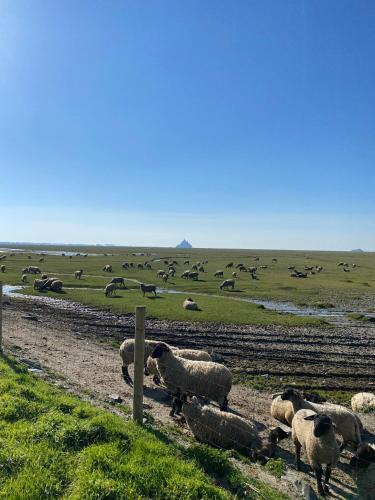 Le Relais de la Hardiesse 6km Mont St Michel - Chambres d'hôtes et gites – Courtils, IA
