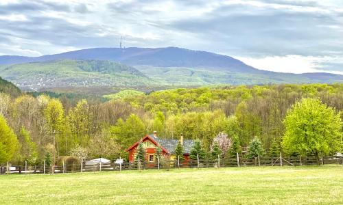 Parádsasvári Sasfészek (Paradsasvari Sasfeszek) in ปารัด