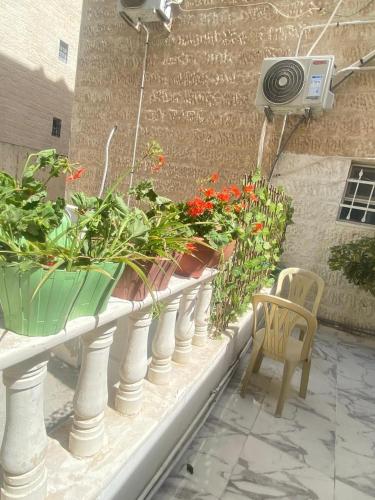 شقه بغرفه وصاله وبلكونه بدون شراكة, Amman