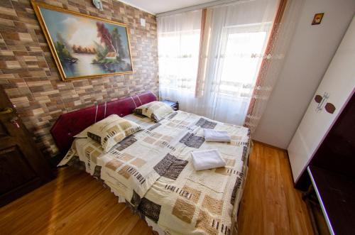 Casa Daniel, Sinaia (fotografie 7)
